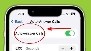 Enable Auto-Answer call iPhone | iPhone mein auto answer call kaise enable karein