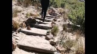 Wolfberg cracks hiking trail Cederberg Western Cape Southern Africa Wild Life