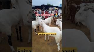 Faizabad Bakra Mandi #animals #bakraeid2024 #bakraeidspecial #viral #song #cute #baby #shorts