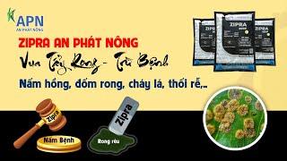 APN - VUA TẨY RONG VÀ TRỪ BỆNH ZIPRA AN PHÁT NÔNG | HOẠT CHẤT MỚI QUÁ NGON