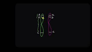 Linkage and Recombination | Principles of Inheritance and Variation | Biology | Khan Academy