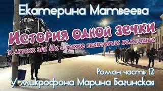 Аудиокнига Екатерина Матвеева "История одной зечки" Роман 12 часть У микрофона Марина Багинская