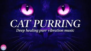 CAT PURRING HEALING POWER VIBRATIONS 120hz  RELIEVE ANXIETY, STRESS & SLEEP  FOR HUMANS & CATS 4K