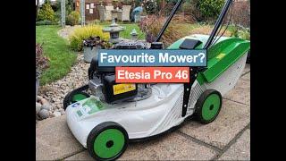 Etesia Pro 46 Lawn Mowing