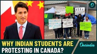 Canada in Chaos: 70,000 International Students at Risk of Deportation Amidst Massive Protests