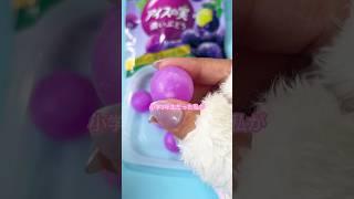 【進研ゼミの付録】アイスの実スクイーズ作ってみた！#shorts #ハンドメイド #スクイーズ #制作動画 #squishy #人肌のゲル