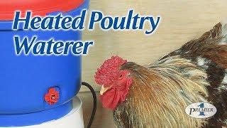 Heated Poultry Waterer