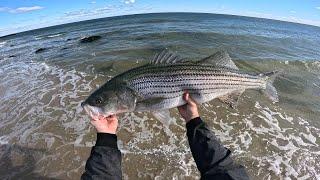 BIG Aggressive Fish on BIG Lures (NJ Fall Run Striper Fishing)