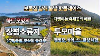 [유채꽃] 보물섬 남해 봄날 여행 추천/장평소류지의 유채와 튤립/두모마을 다랭이논 유채