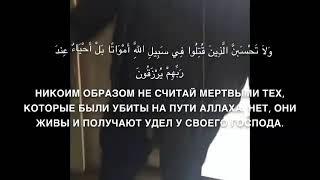 Къоман сий ️Юсуп Темирханов.