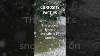 It was so big!! #snow #snowflake #curiositycorner #facts #curiosity #shorts #snowfall #snowflake