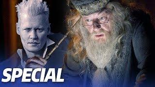 Die KOMPLETTE Vorgeschichte von ALBUS DUMBLEDORE