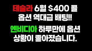 테슬라 6월 400불 콜 기관 베팅 들어왔네요. 엔비디아는 갑자기 옵션 상황 좋아졌습니다.