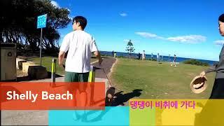 댕댕이 비치에 가다 @CentralCoastLifestyle