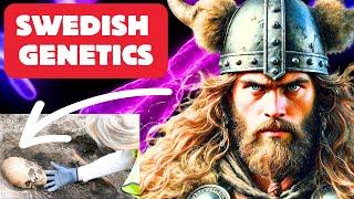 Genetic Mysteries of Sweden | The North vs. South Divide Explained