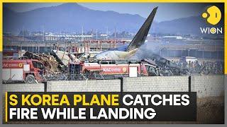 South Korea Plane Catches Fire While Landing, Dozens Dead | World News