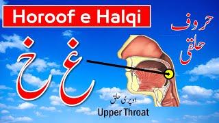 Horoofe Halqi| Ghain & Khaa | Tajweed Course | Pronunciation of Ghain & Khaa | حروف حلقی | غین خاء