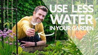 Watering Your Garden on AUTOPILOT! | How to Save Water | 8 Top Tips | Hozelock Automatic Irrigation