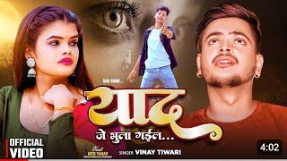 #VIDEO -याद जे भुला गईल | #Vinay Tiwari  | Ft .#Nitu Yadav | Yaad Je Bhula Gail |Bhojpuri Sad Song