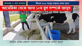 আমেরিকা থেকে আনা ১০০% ফ্রিজিয়ান Bull us 888 | ১০ম বুলের সিমেনের গুনাগুন কেমন হবে | Bayezid Moral