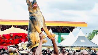 DORMAAHENE & DORMAAHEMAA arrive in Sunyani for Meko Bono Festival 2023  Aduana Piesie