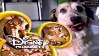 Disney Channel — Magic bumper: Dog Food (2002-2007)