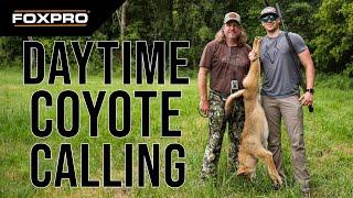 Coyote Hunt Across State Lines: Kentucky and Tennessee Action!