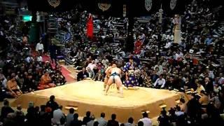 A Sumo Match I attended