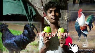 Santosh chaurasiya, Vs murga very funny Dan's #santosh chaurasiya#murga dans