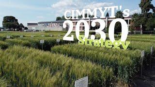 Science and Innovation for a Food and Nutrition Secure World - CIMMYT’s 2030 Strategy.