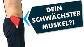 Gluteus medius Training - Ein missverstandener Muskel!