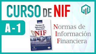 Curso de Normas de Información Financiera: NIF A1 Introducción