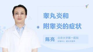 睾丸炎和附睾炎的症状 99健康网 【男科】【生殖中心】【陈亮】