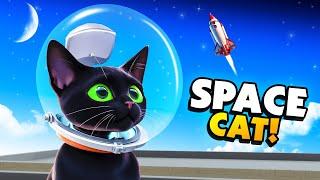 BRAVE Cat Finds A SPACE Helmet and Becomes SPACE CAT! - Little Kitty Big City