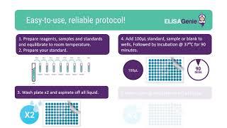 Lipopolysaccharide (LPS) ELISA Kit