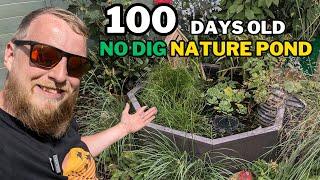 WHATS HAPPENED! Three months into the NO DIG NATURE POND. (Your questions answered)