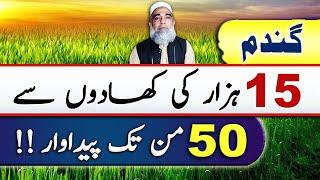 Most economical fertilizer plan for wheat crop || Crop Reformer