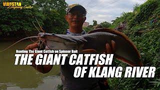 Repeat Memburu Keli Gergasi Sungai Klang / Spinnerbait Opass Spin lord / Mantapbait Predator