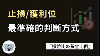 止損/獲利位最準確的用法！虧損最小化的止損位！獲利最大化的停利位！（附中文字幕）投資腦袋の 熊敖源源不絕的被動收入