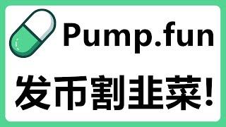 Pump Fun平台一键发币一夜暴富？如何发行一个Meme币割韭菜？#453