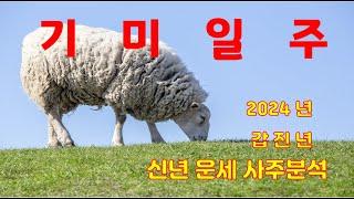 기미일주, 2024년 갑진년 신년운세 사주분석