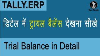 Detailed Trial Balance I Configuration of Trial Balance in Tally.ERP 9 in Hindi