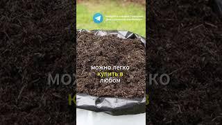 Моя земля стала как пух после такого компоста! #огород #рецепт #дача