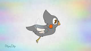 flying cockatiel (animation)