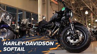 Стиль и мощность Harley-Davidson: обзор на семейство Softail