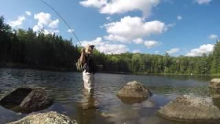 Fly Fishing in the Pemigewasset Wilderness