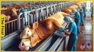 10,000+ Livestock Machines Revolutionizing U.S. Farming - Farming Documentary