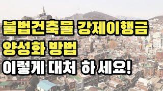 불법건축물, 위법건축물 종류와 양성화 요건, 내용과 주의 사항