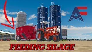FEEDING OUR SILAGE TO OUR DAIRY COWS IN AMERICAN FARMING | EP. 29