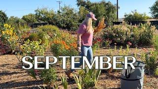 September Garden Tasks Bulbs, Fertilizing, Deadheading & Planting!